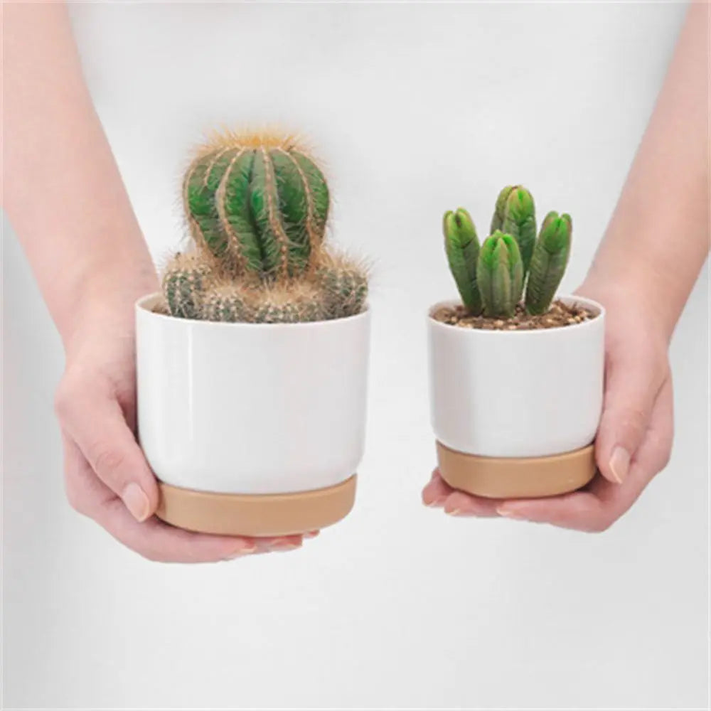 Self Watering Flowerpot