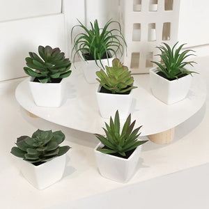 6Pcs Home Decoration, Mini Evergreen Artificial Succulent Small Potted Plants