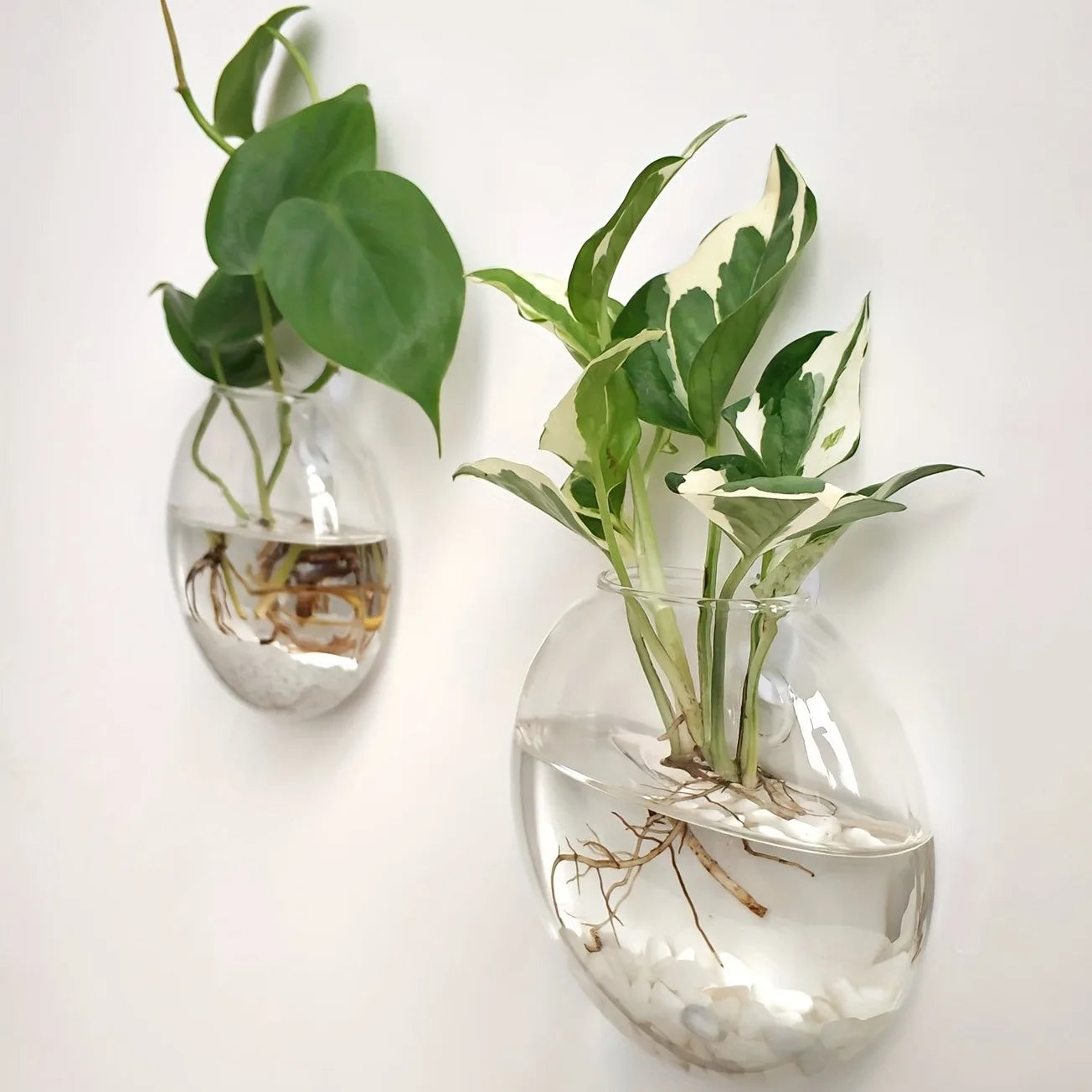 2/4/6 Pack Wall Hanging Glass Terrarium - Self-Watering Hydroponic Planter