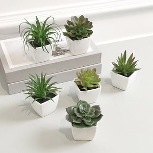 6Pcs Home Decoration, Mini Evergreen Artificial Succulent Small Potted Plants