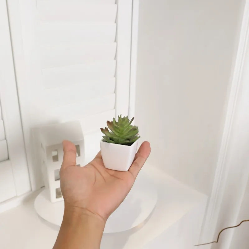 6Pcs Home Decoration, Mini Evergreen Artificial Succulent Small Potted Plants