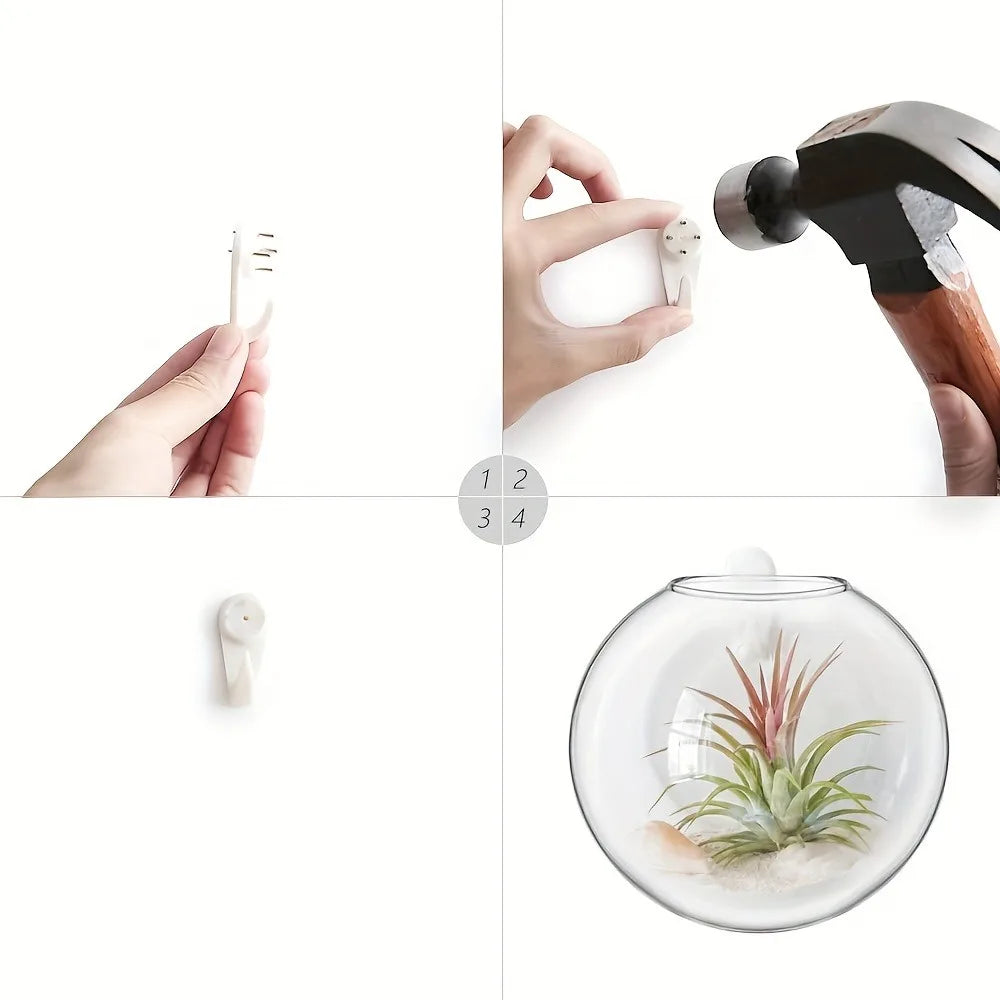 2/4/6 Pack Wall Hanging Glass Terrarium - Self-Watering Hydroponic Planter