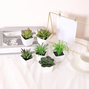 6Pcs Home Decoration, Mini Evergreen Artificial Succulent Small Potted Plants