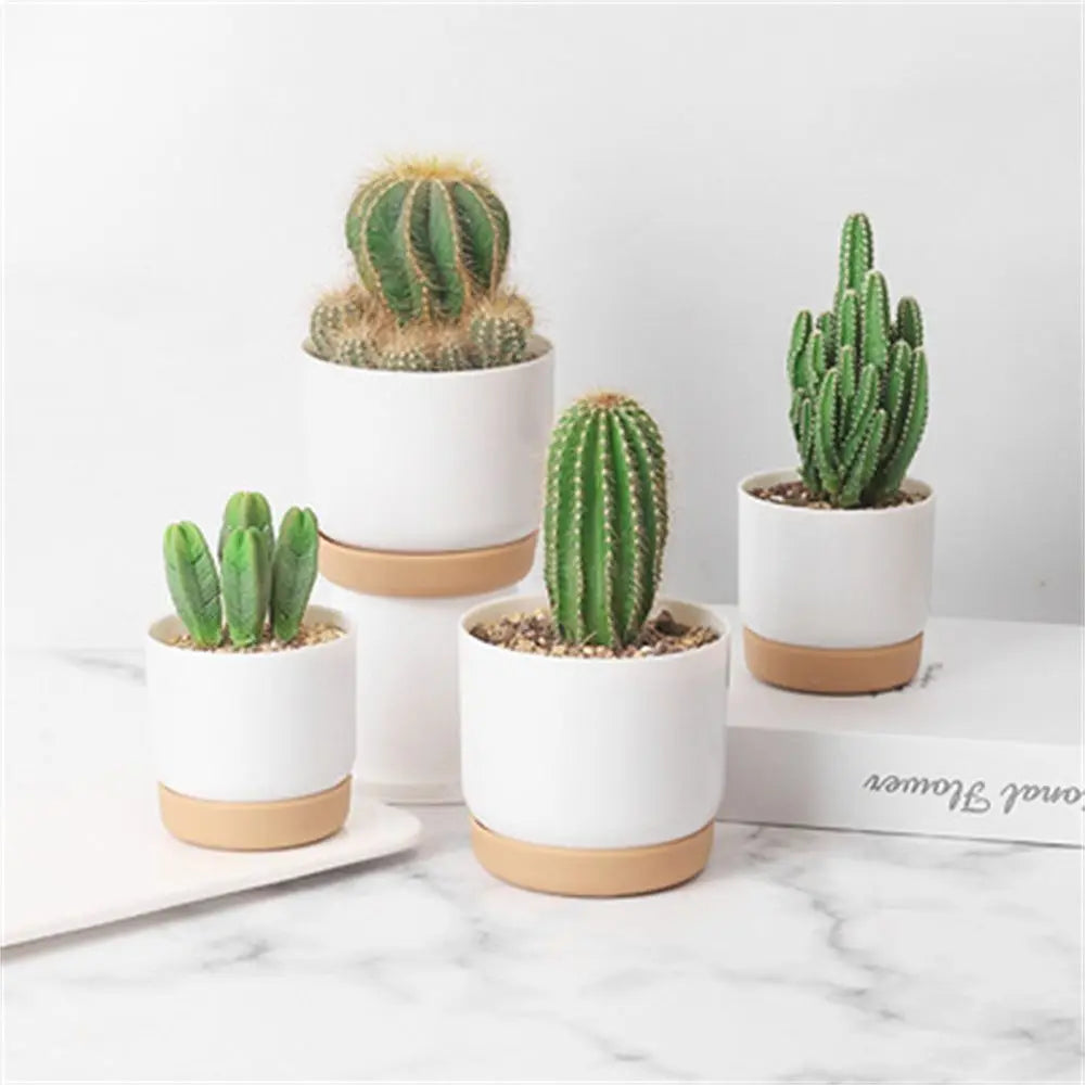 Self Watering Flowerpot